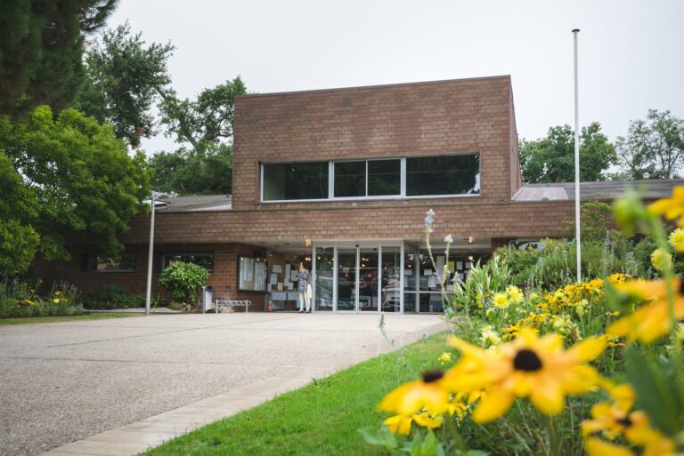 Bâtiment en brique et verre de la Salle des Sources, à Cestas, derrière des fleurs jaunes
