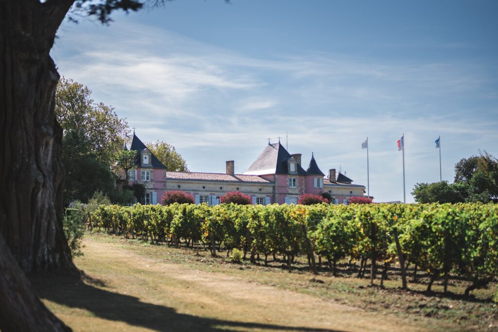 Château au fond d'un rang de vignes, drapeaux devant la façade rose, ciel bleu nuageux