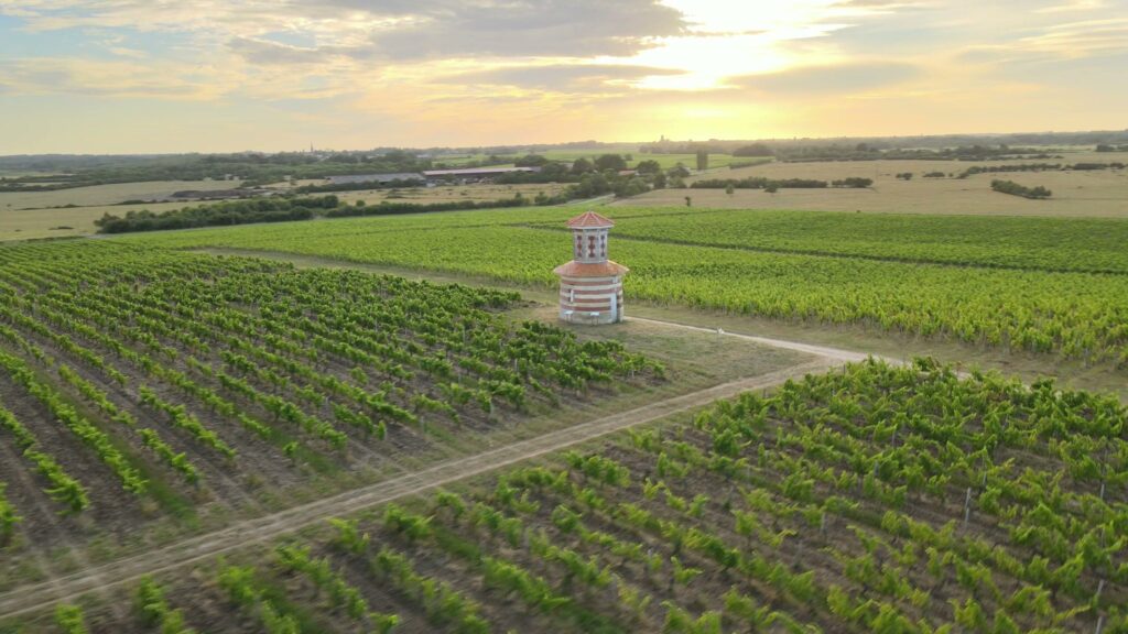 Vue aérienne d'un pigeonnier en brique au bout d'un chemin entre deux parcelles de vigne, au coucher du soleil
