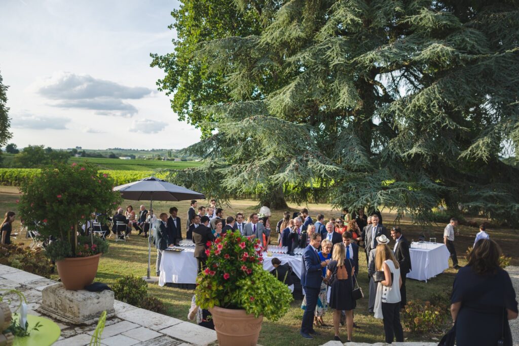 Des invités se retrouvent pour le cocktail sur une pelouse, sous de grands arbres et face aux vignes.